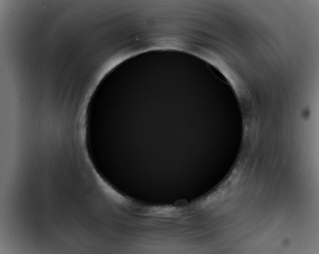 X0000103131143200808291310