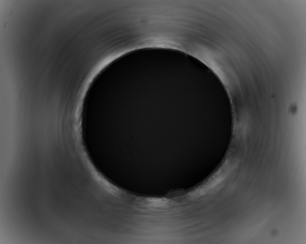 X0000103131144200808291310
