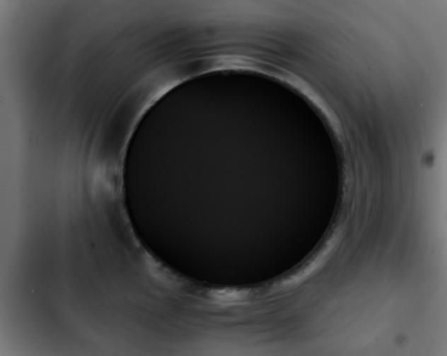 X0000103131145200808291310