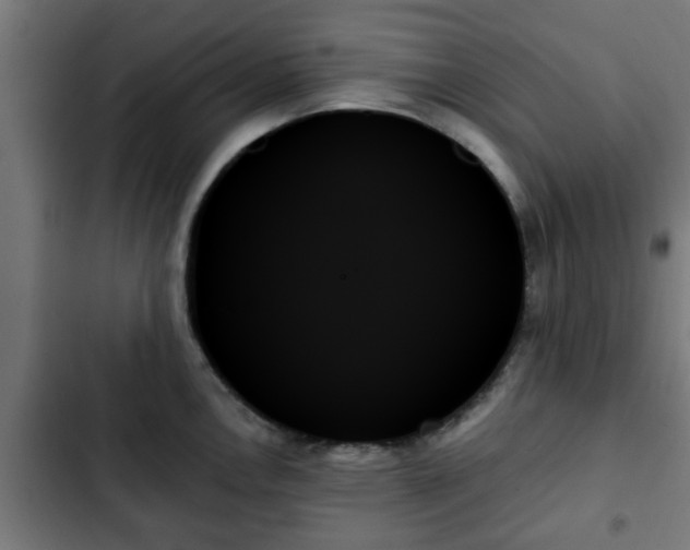 X0000103131146200808291310