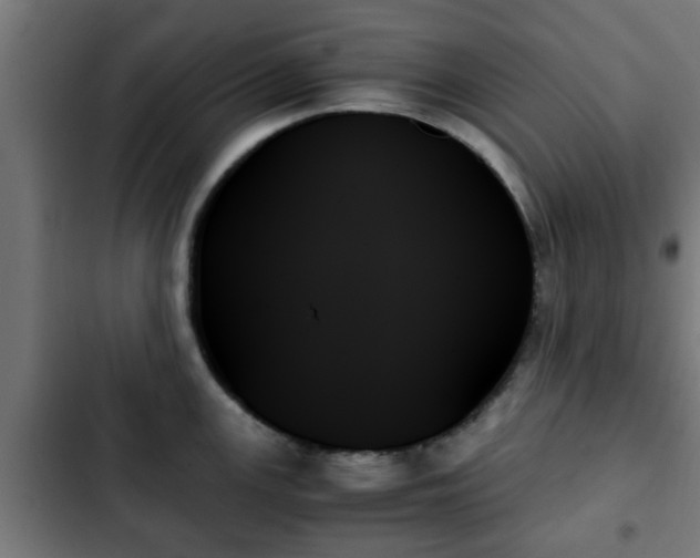 X0000103131147200808291310