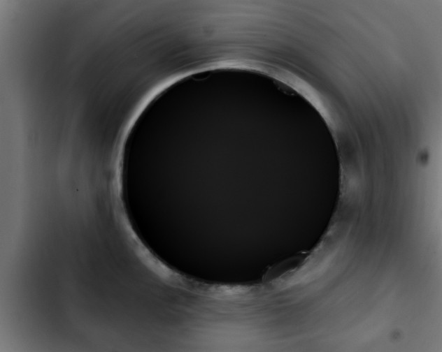 X0000103131148200808291310