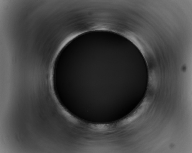 X0000103131149200808291310