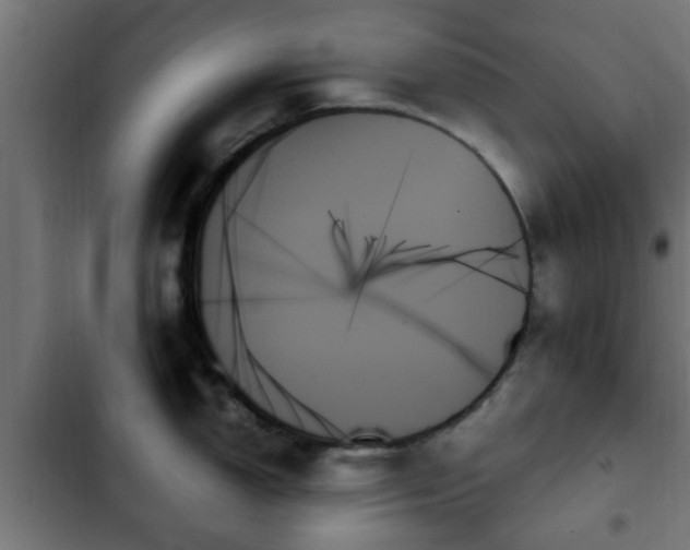 X0000103131150200808291310