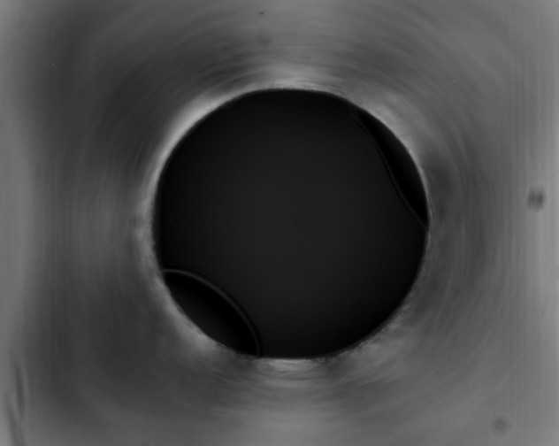 X0000103131152200808291310