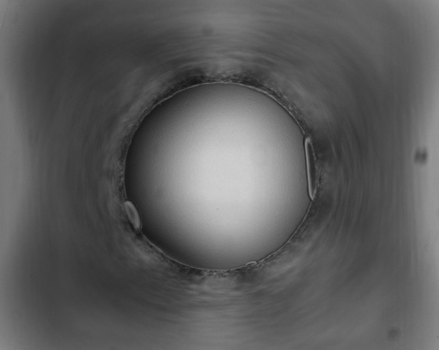 X0000103131153200808291309