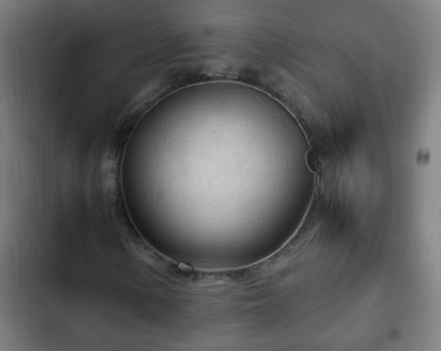 X0000103131154200808291309