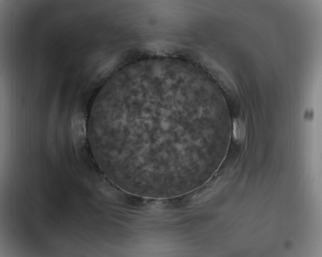 X0000103131155200808291309