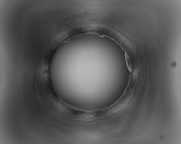 X0000103131156200808291309