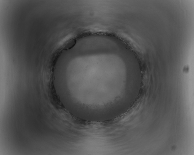 X0000103131157200808291309