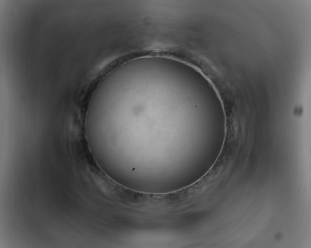 X0000103131158200808291309