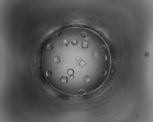 X0000103131159200808291309