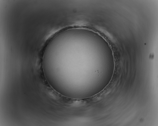 X0000103131160200808291309