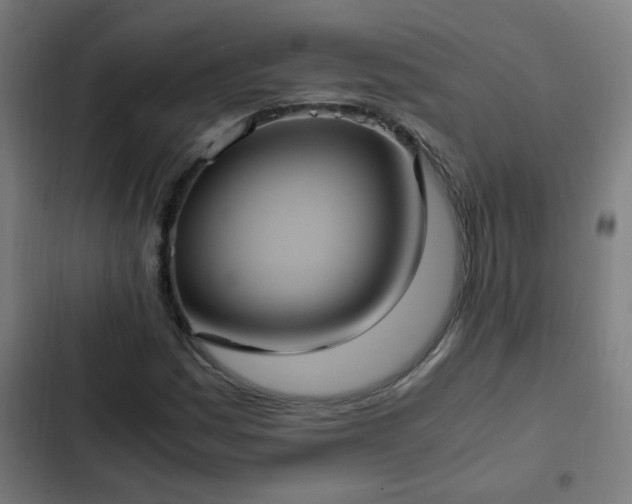 X0000103131161200808291309
