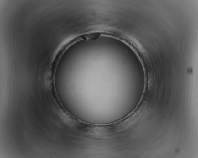 X0000103131164200808291309