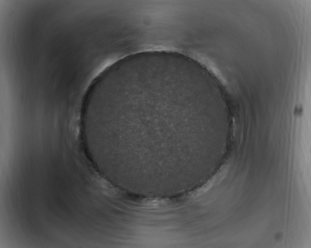 X0000103131165200808291309