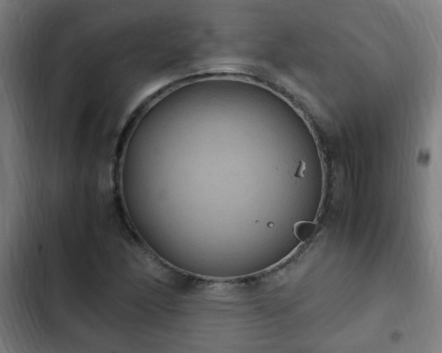 X0000103131166200808291309