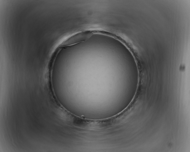X0000103131167200808291309
