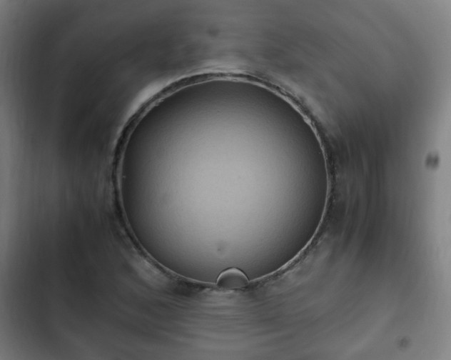 X0000103131168200808291309