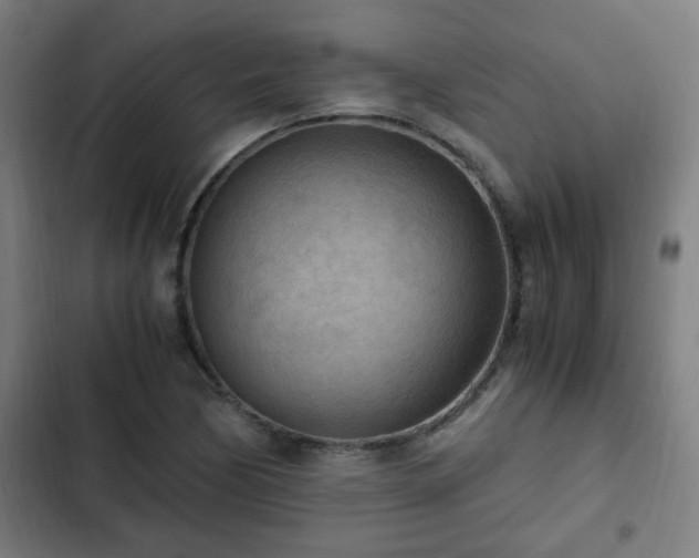 X0000103131170200808291309