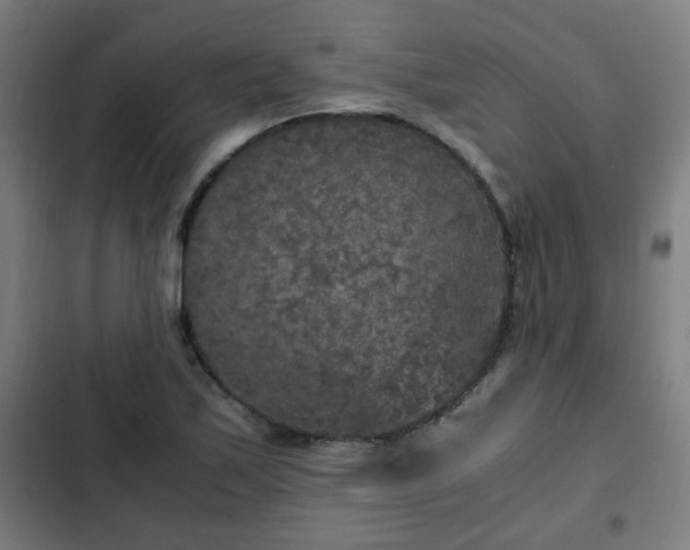 X0000103131171200808291309