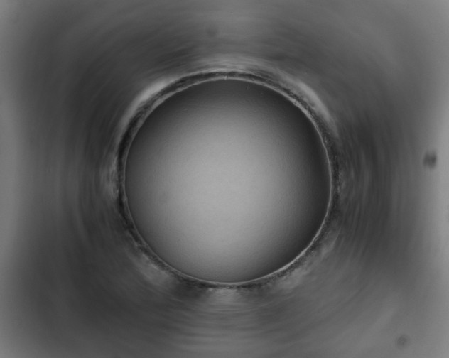 X0000103131172200808291309