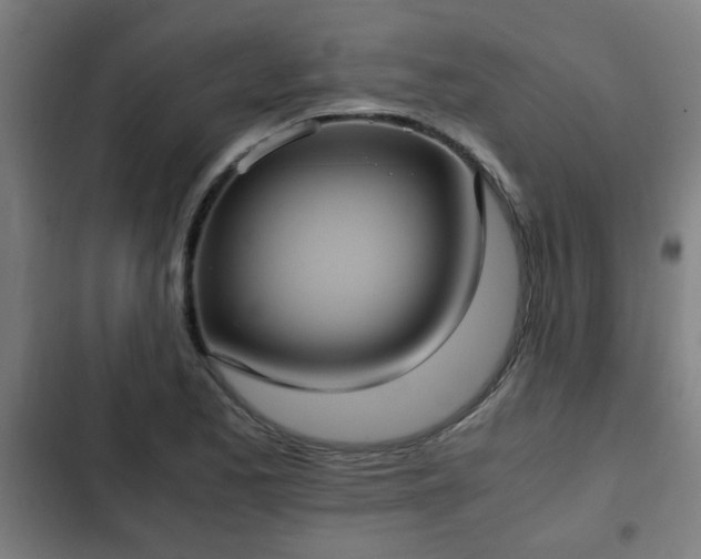 X0000103131173200808291309