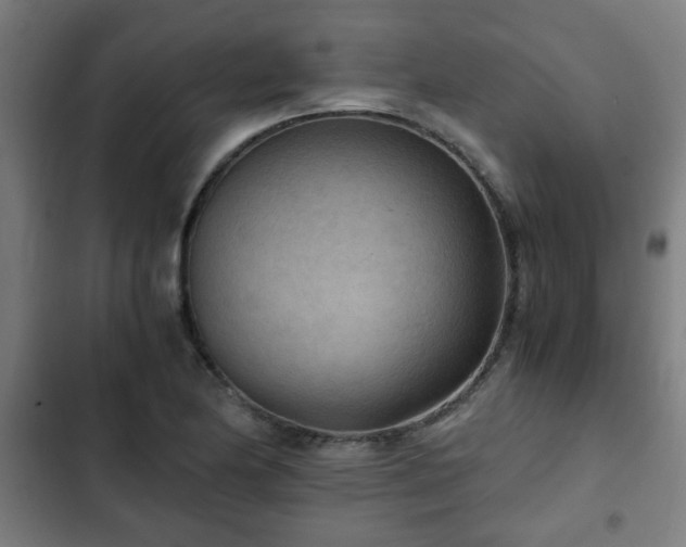X0000103131174200808291309