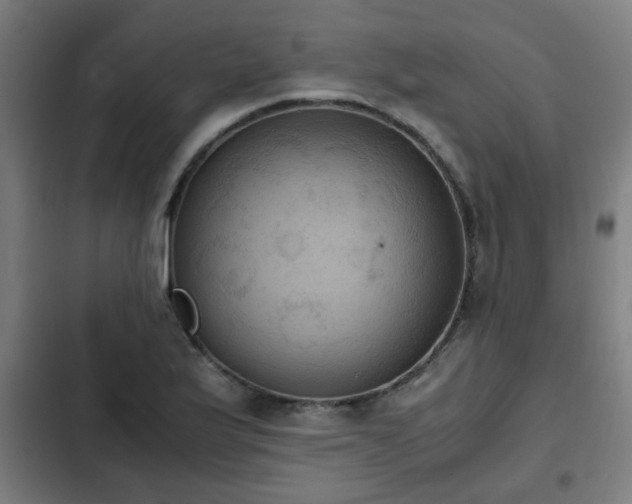 X0000103131175200808291309