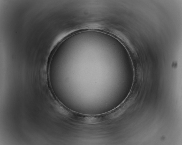 X0000103131176200808291309