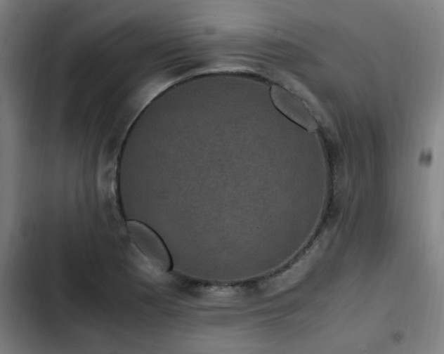 X0000103131177200808291309