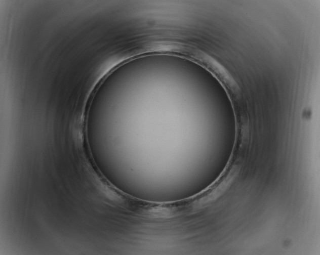 X0000103131178200808291309