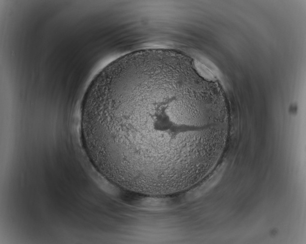 X0000103131179200808291309