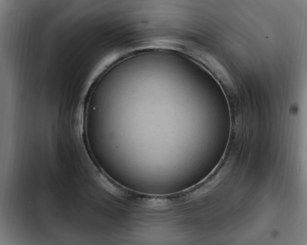X0000103131180200808291309