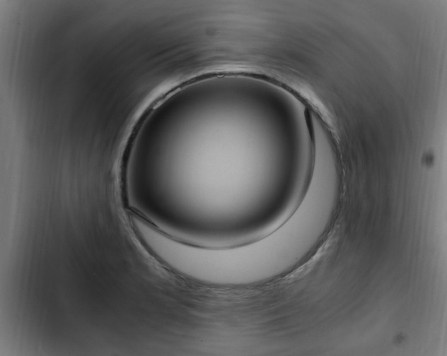 X0000103131181200808291309
