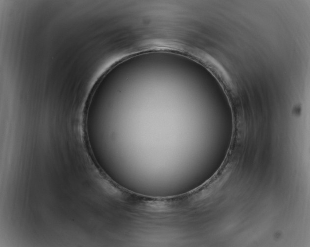 X0000103131182200808291309