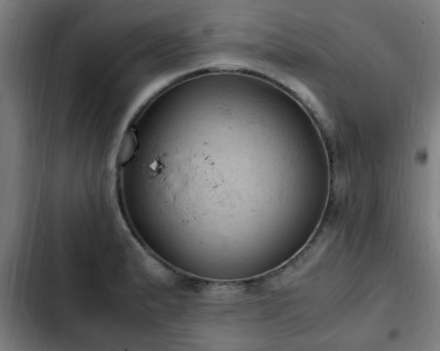 X0000103131183200808291309