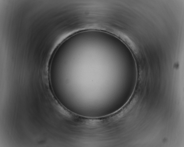 X0000103131184200808291309