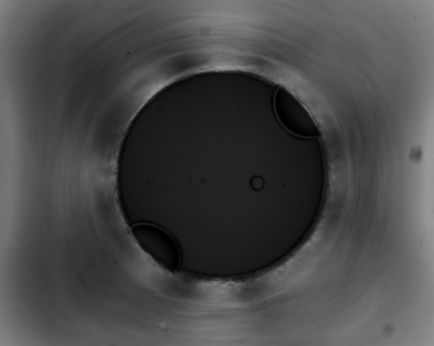 X0000103131185200808291309