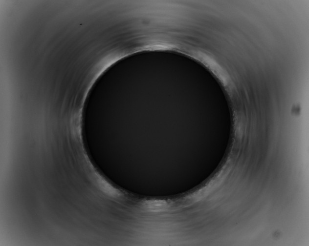 X0000103131186200808291309