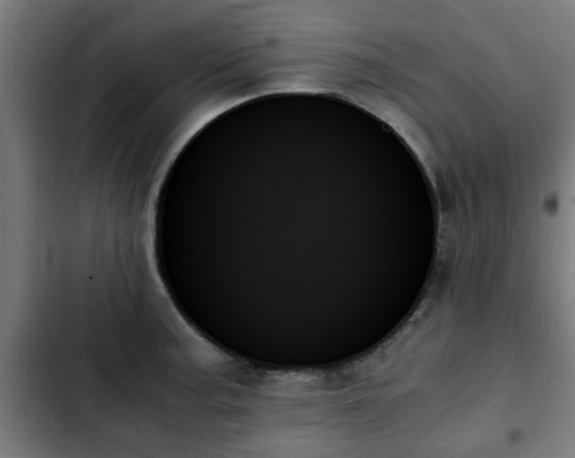 X0000103131187200808291309