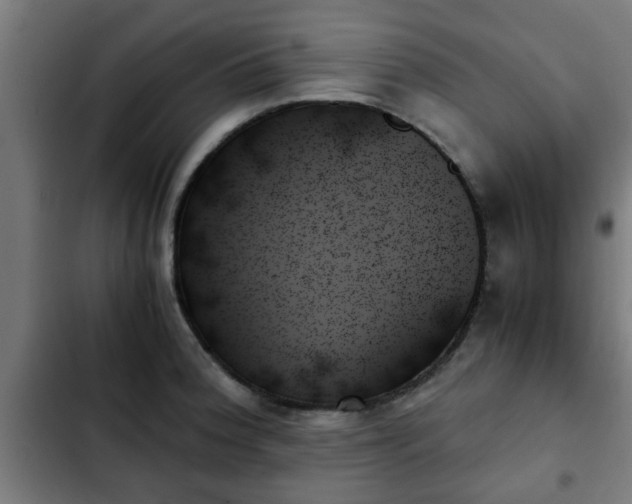 X0000103131188200808291309