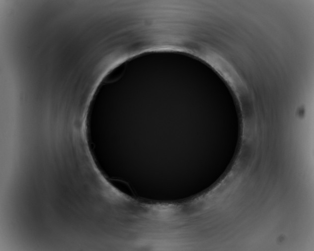 X0000103131189200808291309