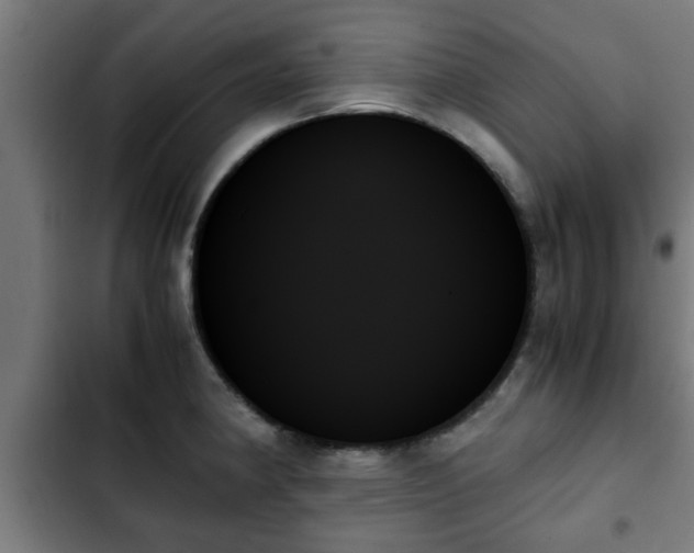 X0000103131190200808291309
