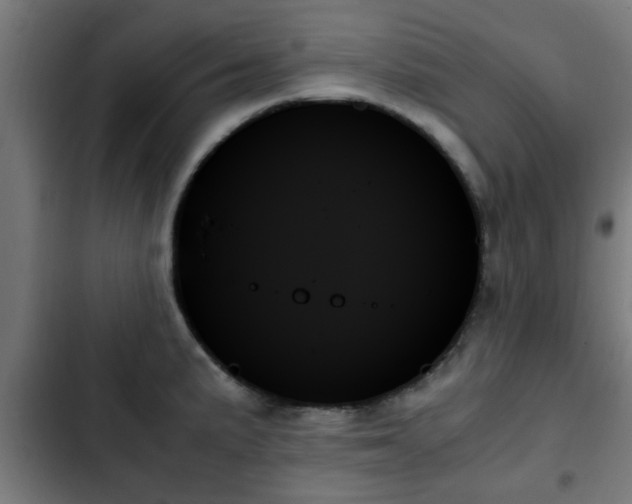 X0000103131191200808291309
