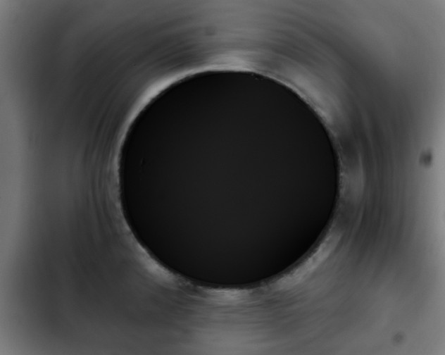 X0000103131192200808291309