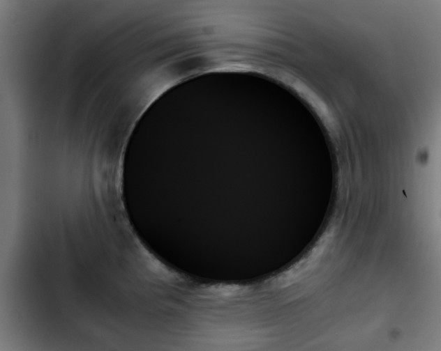 X0000103131193200808291309