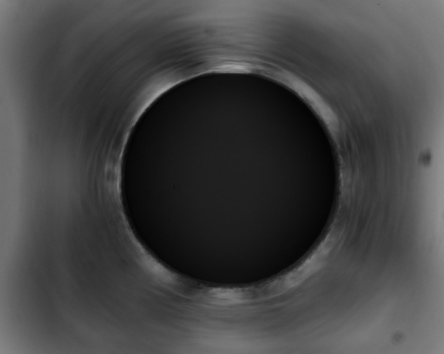X0000103131194200808291309