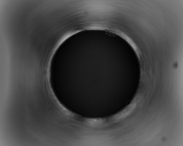 X0000103131195200808291309