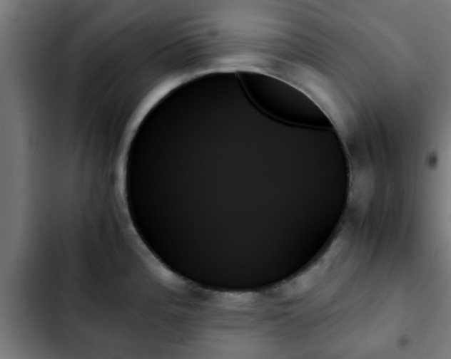 X0000103131196200808291309